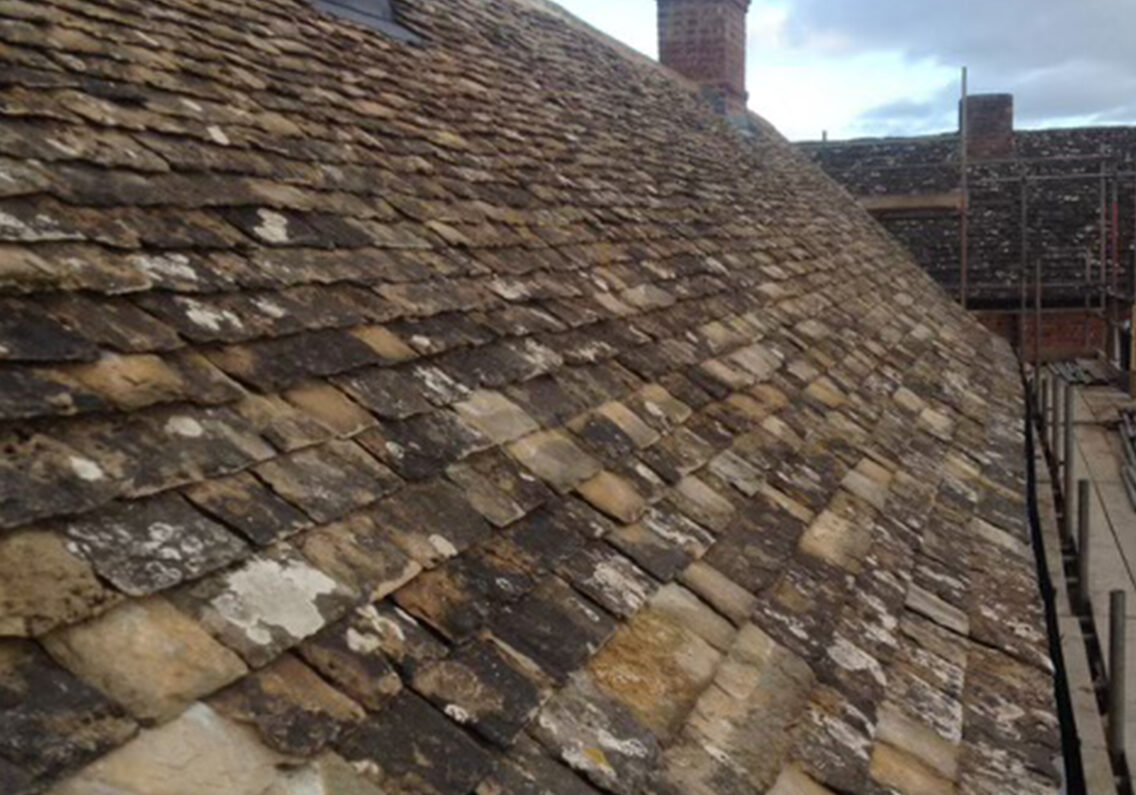 DK Roofing Solutions_0000_84dbc189-46bc-4b10-84f8-8b13a01b5109