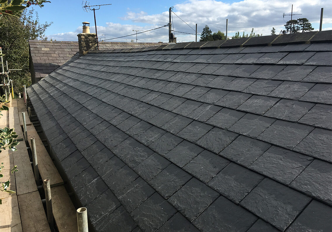 DK Roofing Solutions_0003_IMG_0551
